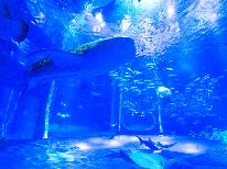 《割引券付》【のとじま水族館】宿から車５分！ジンベエザメやイルカショー他体験充実☆会席料理【２食付】
