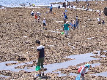 【夏季限定・海水浴】マリンパーク御前崎海水浴場まで車で3分！聖火プラン