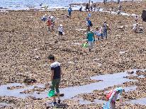 【夏季限定・海水浴】マリンパーク御前崎海水浴場まで車で3分！聖火プラン