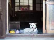 【愛犬と素泊まり】わんちゃんとお泊まりなら当プランから(∪*´•ω•)