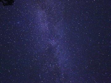 【愛犬と一緒に星空観察☆/2食付】夕食の後はワンちゃんと星空を眺めよう♪