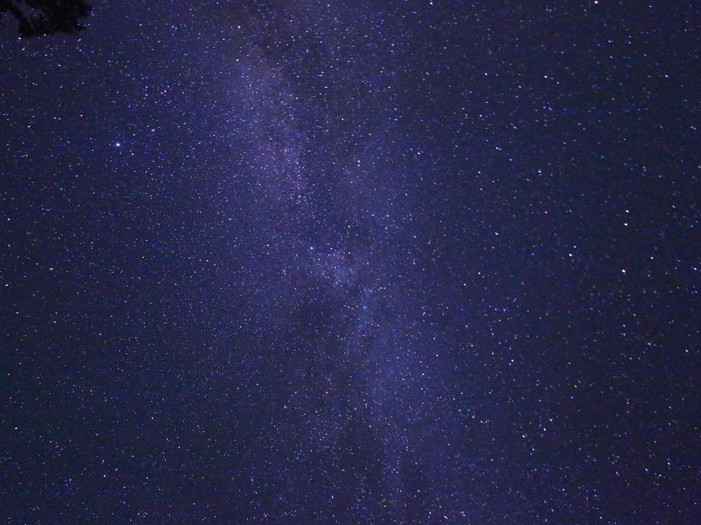 【愛犬と一緒に星空観察☆/2食付】夕食の後はワンちゃんと星空を眺めよう♪