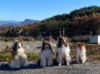 【素泊まり】自然豊かな片品村で愛犬と過ごす休日♪アットホームなシェルティで安心滞在☆