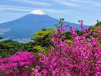 新緑プラン◆木々が芽吹き色鮮やかな絶景を！特典付き-２食付-