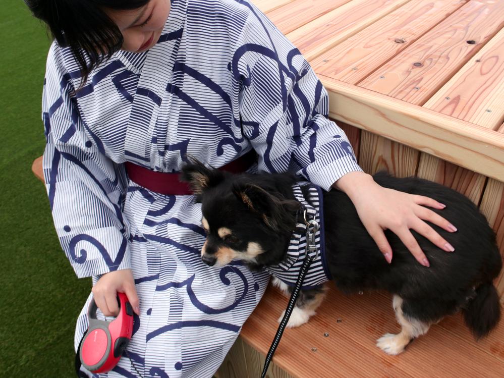 【ペット同宿】愛犬と部屋食で愉しむ島根の美食◆大国主会席-竹-