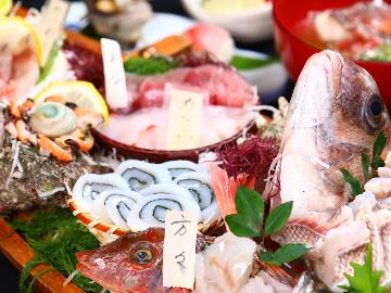地魚舟盛 【桜】 魚三昧！新鮮だから味わえる“旬”を召し...