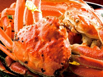 <GoToトラベルキャンペーン対象>≪タグ付きガニを1人1杯≫日本海の冬の味覚☆ブランドガニ贅沢フルコース