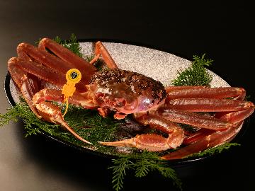 日本海最高級！！かにの王様を贅沢に食すフルコース【1泊2食付】