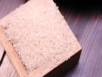 秋季限定【新米プレゼント】秋を味覚と温泉で楽しむ!夕食は人気No.1!白金豚のしゃぶしゃぶ♪特典付き