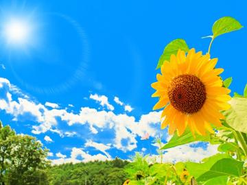 【お盆限定】（8/9～8/13）当館おすすめ！末廣コースを堪能☆夕食はお部屋または個室で