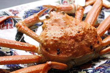 【産地は色々】冬の味覚をお手軽に♪活がにスタンダードプラン《１泊２食付》