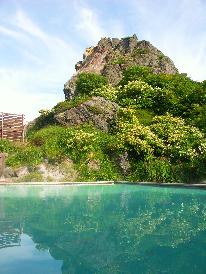 【2食付】春の高山植物がお出迎え！源泉かけ流しの新鮮な強酸性の温泉で日頃の疲れをリフレッシュ！