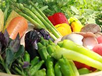 【HP特別価格】新鮮お野菜がメインのヘルシープラン［１泊２食］