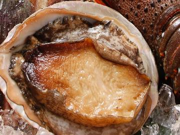 【篠島の恵みに舌鼓】鮮度が決め手の鮑のお造り★篠島の『食』を贅沢に♪≪1泊2食付≫