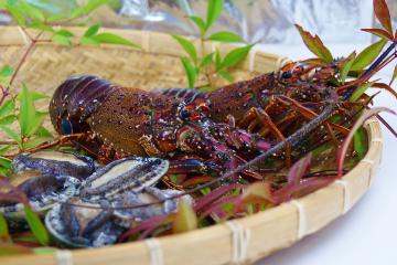鮑・伊勢海老・地金目鯛！伊豆贅沢三昧プラン