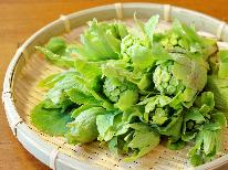 【山菜づくしプラン】春限定！旬の山の恵みを堪能♪お土産特典付き★1泊2食