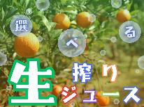 【期間限定★選べる生搾りジュース特典付き♪】屋久島の自然の恵みを堪能♪【１泊２食】