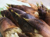 【山の恵み盛り沢山】山菜・筍・春満載グレードアッププラン！春の素晴らしさに目を見ハル！？【2食付】