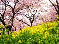 【河津桜】1ドリンク無料◆貸切風呂あり★下田でさくら観賞♪ふっくら金目鯛と体喜ぶ朝採れ野菜《特典》