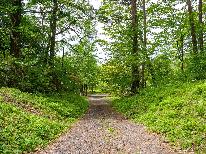 【自動車利用 HP限定プラン】大人気のオートキャンプサイト☆車両のすぐ横設営で楽々！