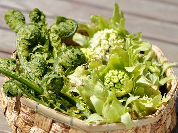 【期間限定】新緑が芽吹く安比高原で地元の旬菜を味わう！本格中華料理と山菜料理をご堪能ください♪