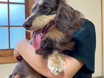 【素泊まり】【ワンちゃんレンタル】ご夫婦・カップル・女性二人旅限定★当館の愛犬と一緒にお泊りできちゃう癒し旅♪