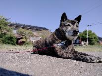 【素泊まり】チェックイン20時OK◆旅行は自己流にカスタマイズ！気ままにリーズナブルに楽しむ佐渡旅