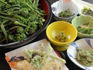 【内田屋春の膳】≪旬の採れたて山菜づくし和膳≫春の味覚山菜を食べつくす・・・