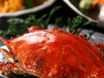 【2食付】宇津江荘の特選♪旬魚の姿造り大皿盛り＆和牛陶板焼・季節の逸品を味わう特選コース