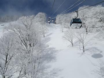 【とってもお得な初滑り　 リフト 2日券付】白馬五竜のゲレンデがなんと目の前！初滑りプラン【1泊2食付】