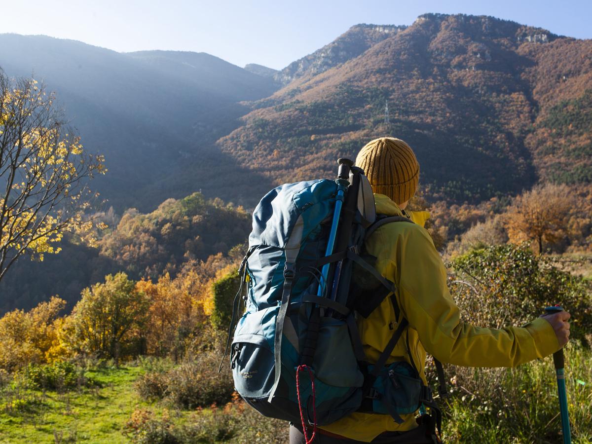 【登山＆早朝出発に！】朝食5時半～OK!大山の大自然を旬の手料理に満喫旅♪夏山登山口まで徒歩12分