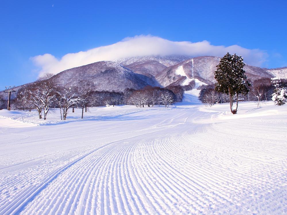 黒姫・白馬五竜・野沢温泉スキー場を巡る拠点に最適！温泉で疲れを癒す旅【素泊り】