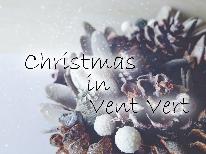 ◆HP限定価格◆~★Merry Christmas★~貸切温泉&クリスマスディナー♪ミニホールケーキ付★1泊2食付