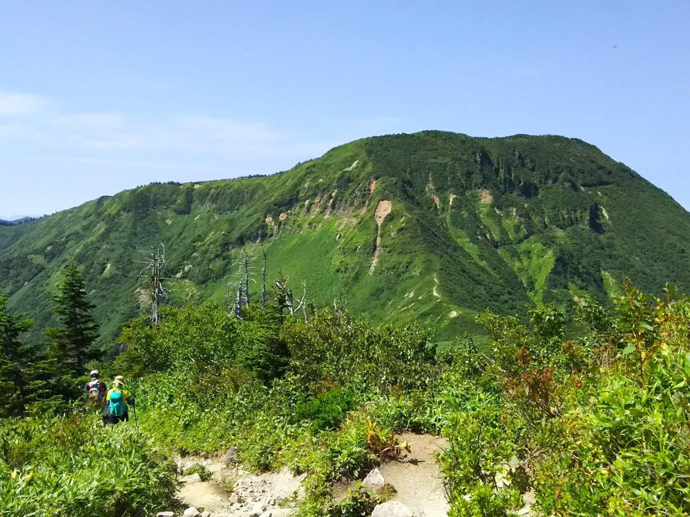 【早朝チェックアウト歓迎】登山・トレッキングは「日本百名山★花の百名山」がある苗場がおすすめ！２食付