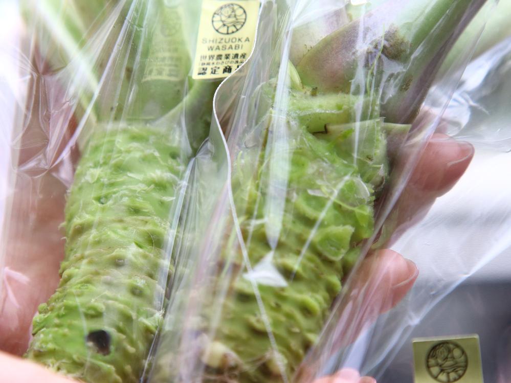 【期間限定】特典付☆わさび品評会優秀賞記念☆本わさびを２本プレゼント！最高級トレーラーハウスに泊まろう-素泊り-