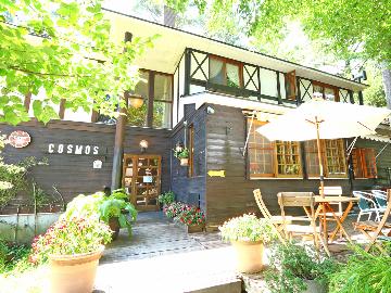 FOREST RESORT COSMOS