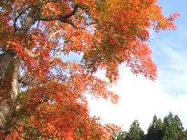 《秋の醍醐味三昧》～地酒×紅葉和庭園×紅葉露天～旬の和会席とふくしまの美味しい地酒を堪能する温泉旅！