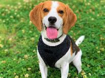 愛犬と過ごす贅沢グルメ旅♪黒毛和牛の贅を極めたプレミアムコース《前沢牛づくし会席》２食付