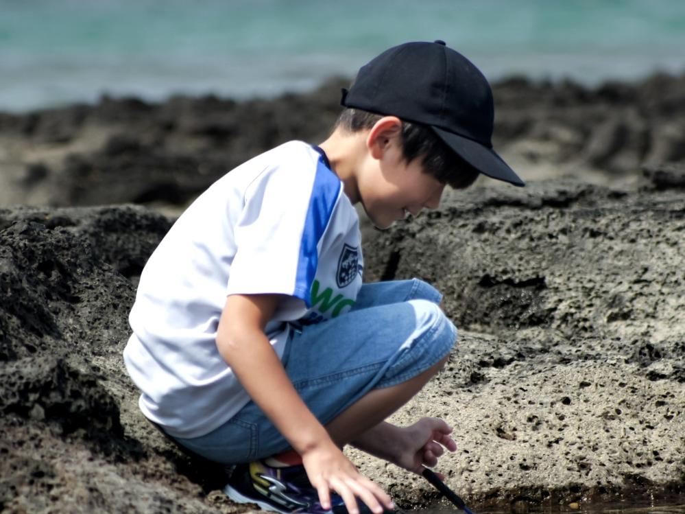 【特典付　夏さきどり旅】島のビーチで海遊び　伊勢海老の姿造りと答志島大漁皿膳　海ほたるツアー付