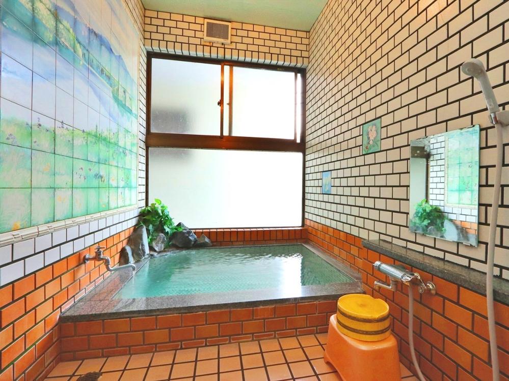 【エコ泊素泊り】アメニティなしでお得に♪持ち込みOK♪で気軽に宿泊　源泉かけ流し温泉を満喫