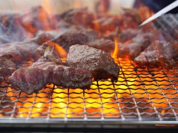【２食+BBQ付き】ご家族や仲良しグループにオススメ☆昼食はゆ～パーク薬師でBBQプラン♪