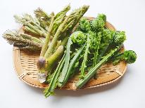【春の信州・山菜三昧料理♪】新緑と山菜料理【無料貸切風呂】【1泊2食付】