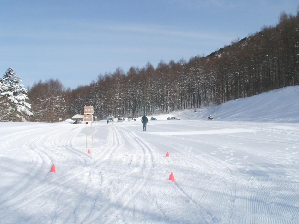 60歳以上限定☆シニア1日リフト券付【1泊2食付】《現地現金決済限定》 お得に戸隠スキー場を満喫