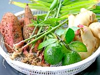 【夕食のみ】手作りのぬくもり感じる、田舎料理！朝ゆっくりしたい方にオススメ★