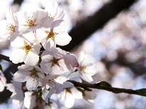 。☆信州の美しい花々を楽しむ☆。『水芭蕉』、『バラ』など、信州の春は花満開♪【1泊2食付き】