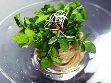 お日にち限定《特別価格》◆スタンダード◆創作料理と大涌谷温泉を満喫【現金特価】