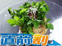 直前割◆ 5月 限定《お一人様2，000円OFF》スタンダードコース【現金特価】