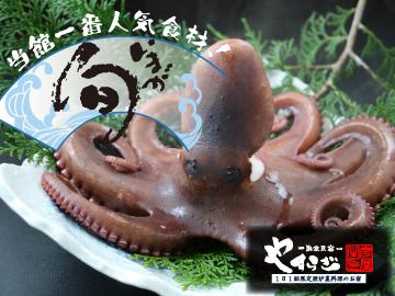 【1日1組限定】全館貸切◆タコ漁解禁！丸ごと1匹タコの姿煮付き［2食付］