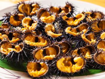 【1日1組限定】全館貸切◆ウニ漁解禁！季節限定旬のおすすめ！新鮮で濃厚絶品甘いウニ（殻付き盛）［2食付］