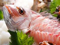 【海コース】よしおかやのおすすめ１泊２食付き